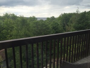 Suite Signature, 1 très grand lit, non-fumeur, vue lac | Terrasse/Patio