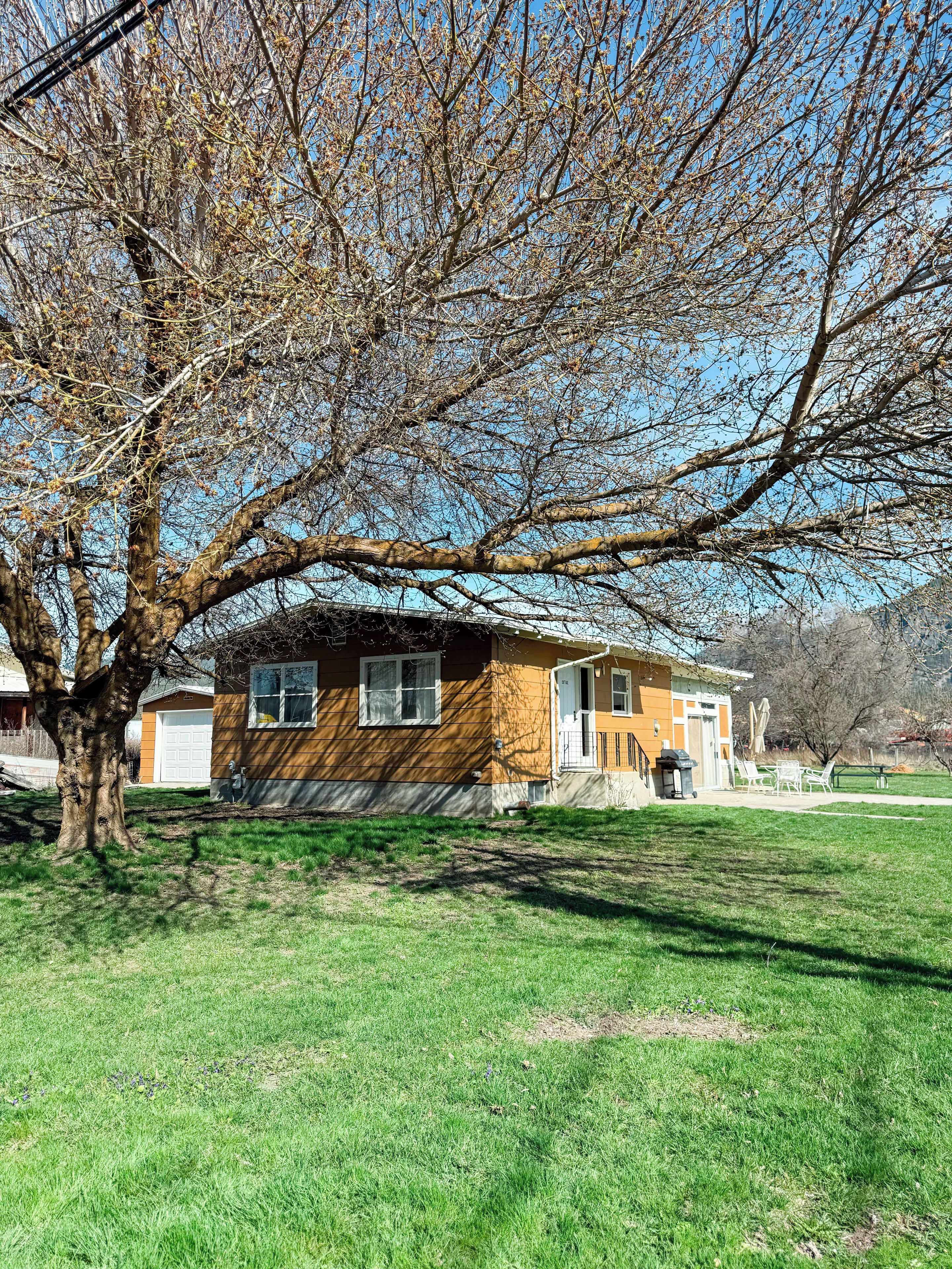Ein zweistöckiges Haus mit Garage, Rasen und einem großen Baum im Vordergrund.
