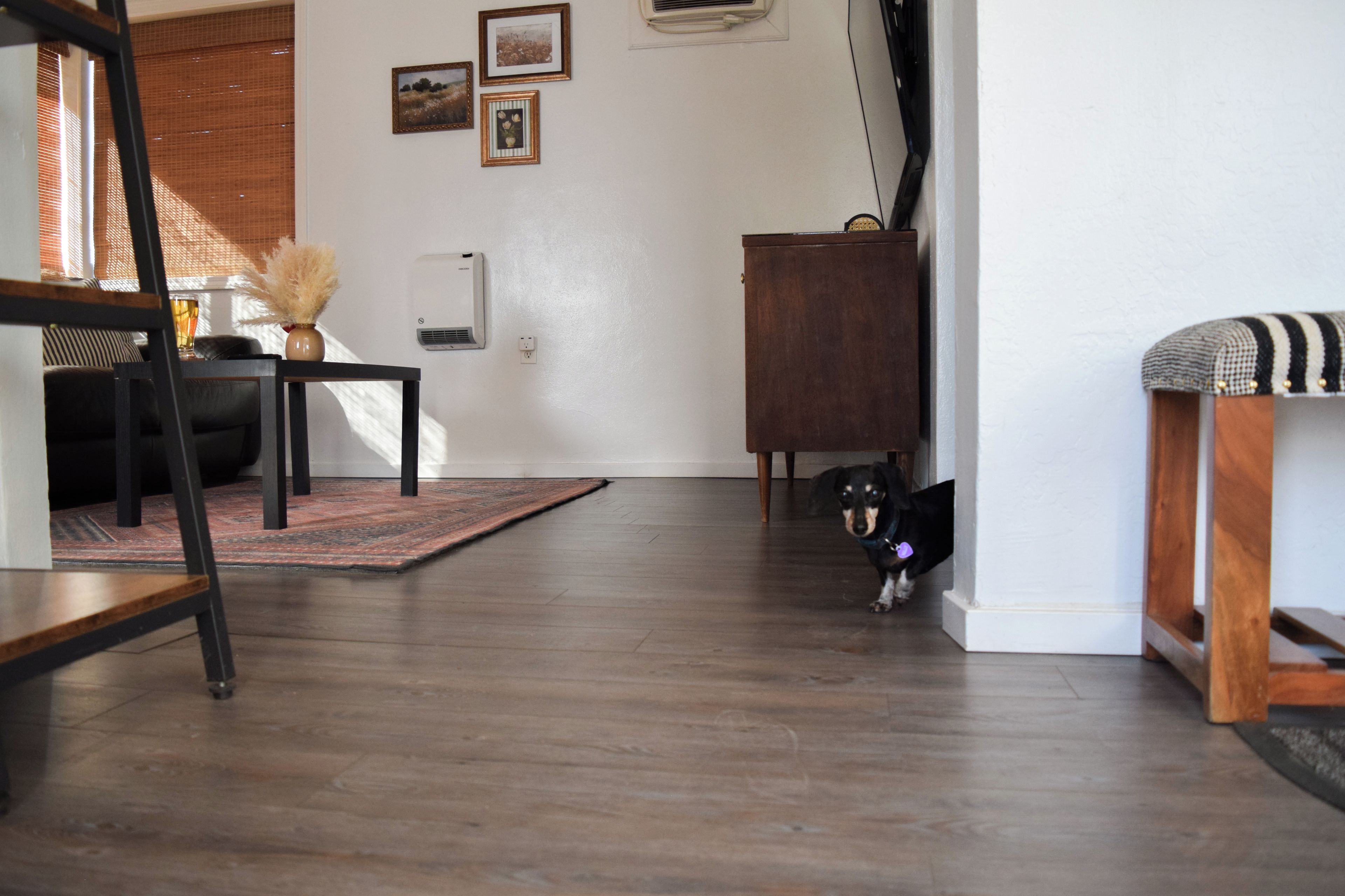 Una habitación con piso de madera, una mesa de comedor con sillas, un sofá, un armario y un perro.