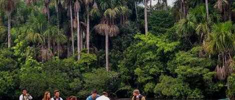 A group of people in a green boat on a river surrounded by dense tropical foliage.