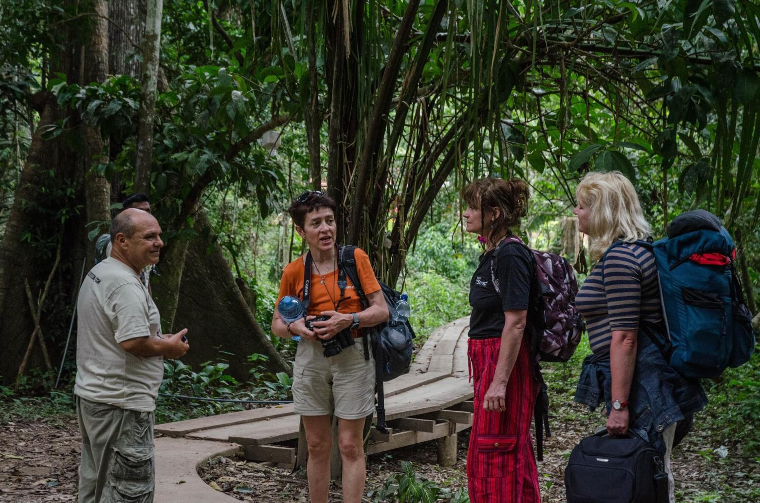A group of people standing on a wooden bridge in a forested area.