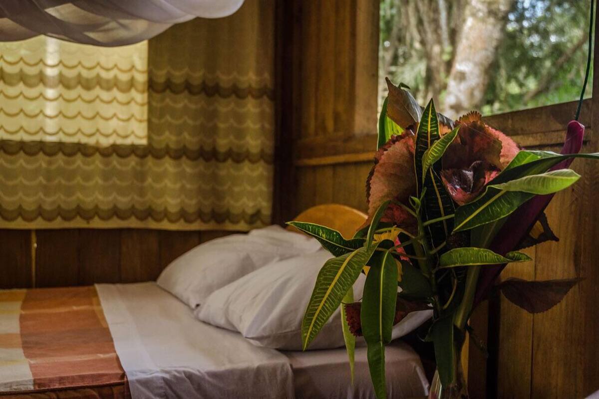 Una habitación con cama, ventana con cortina y planta de hojas verdes y flores rojas.