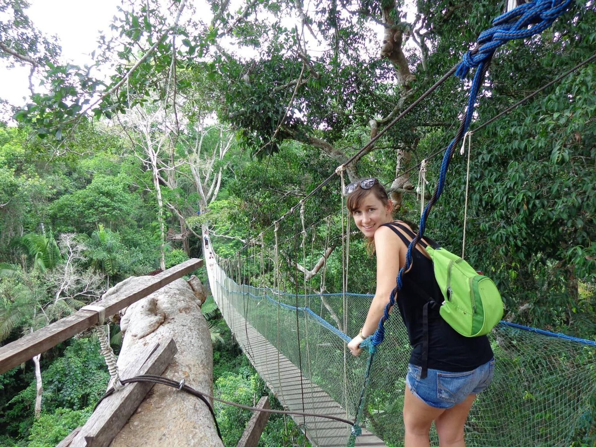 A person on a suspension bridge in a forested area.