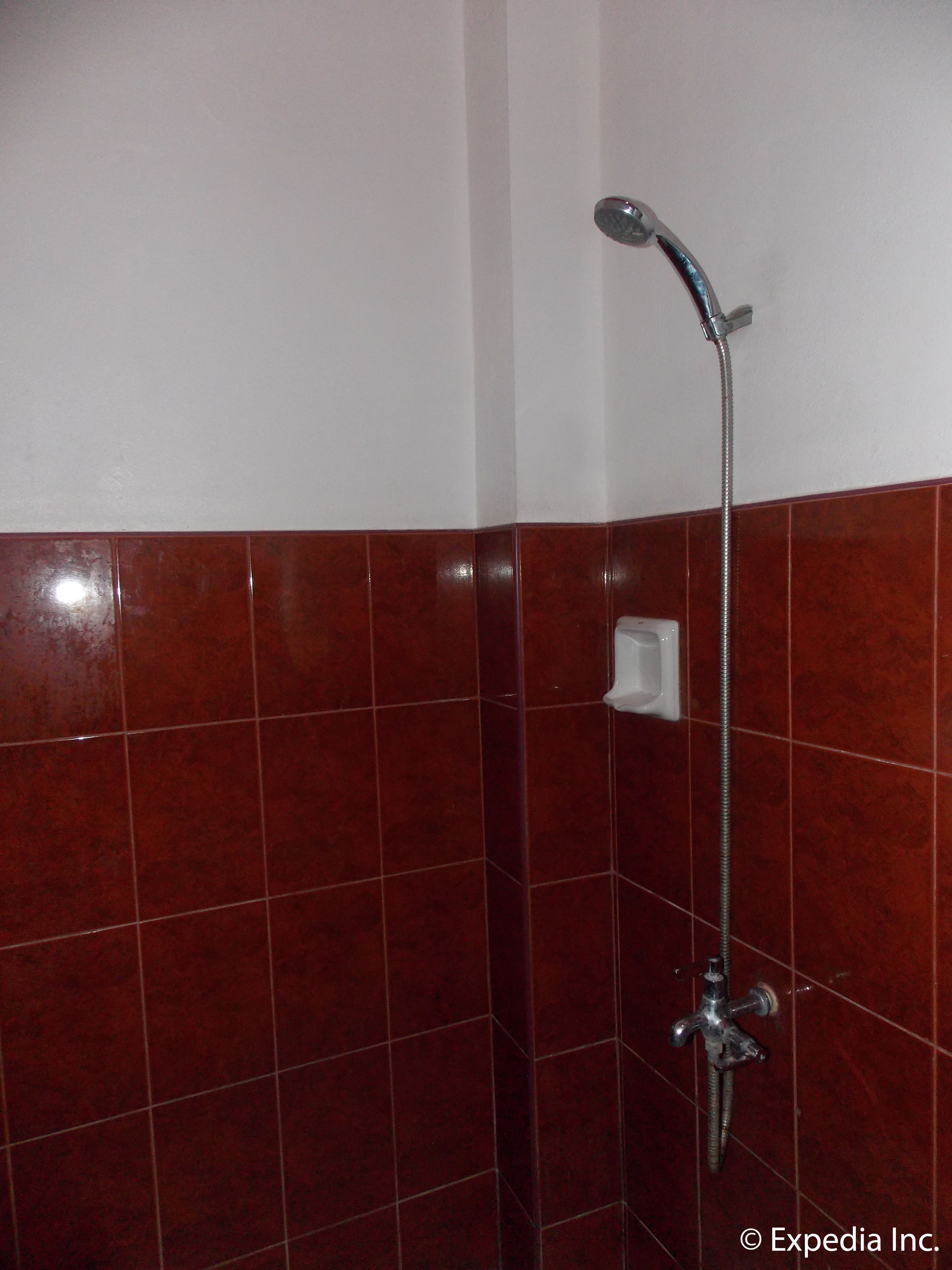 A shower with a handheld showerhead and a wall-mounted faucet.