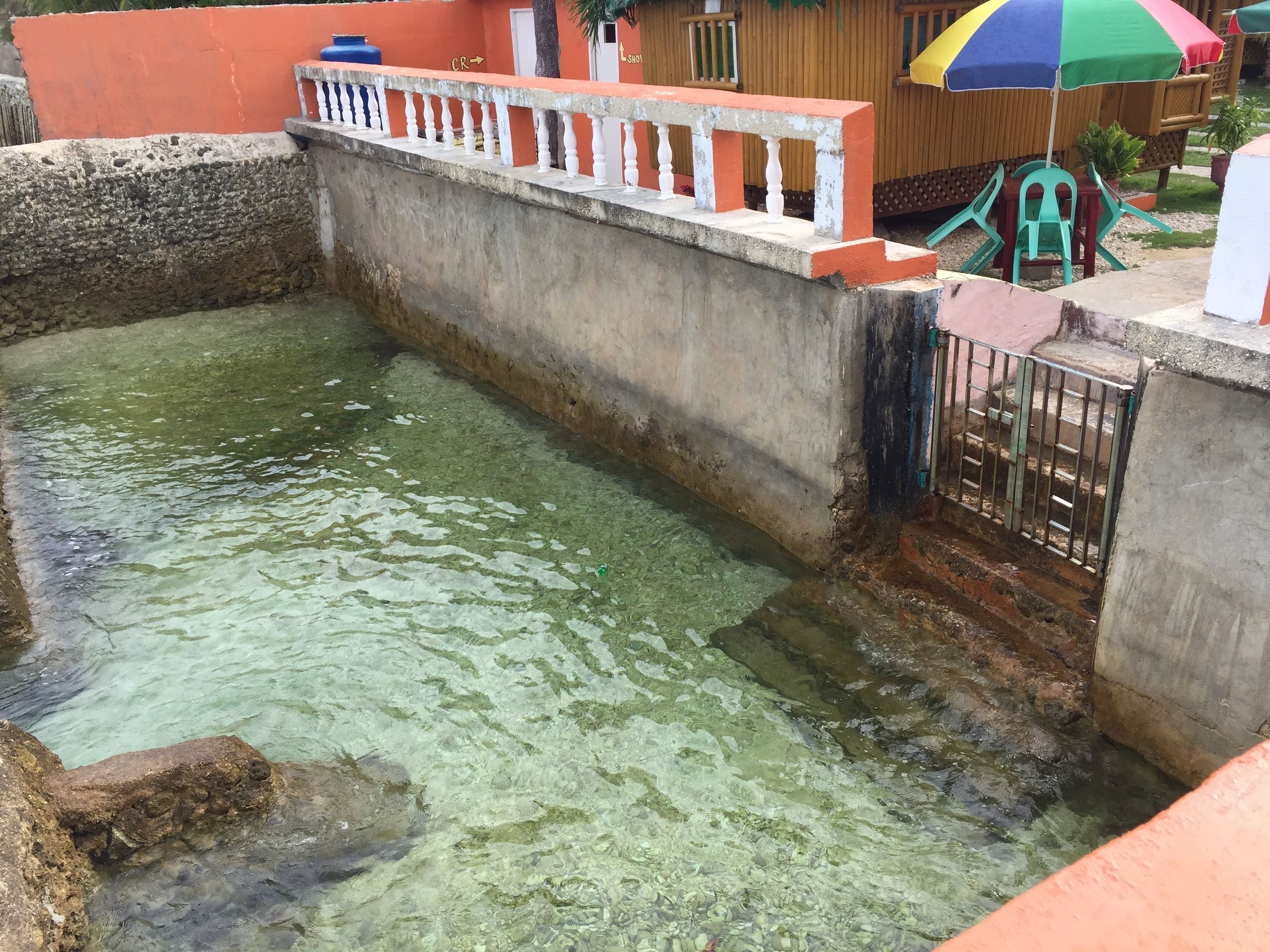A small, rectangular water feature with a concrete border and a metal gate.