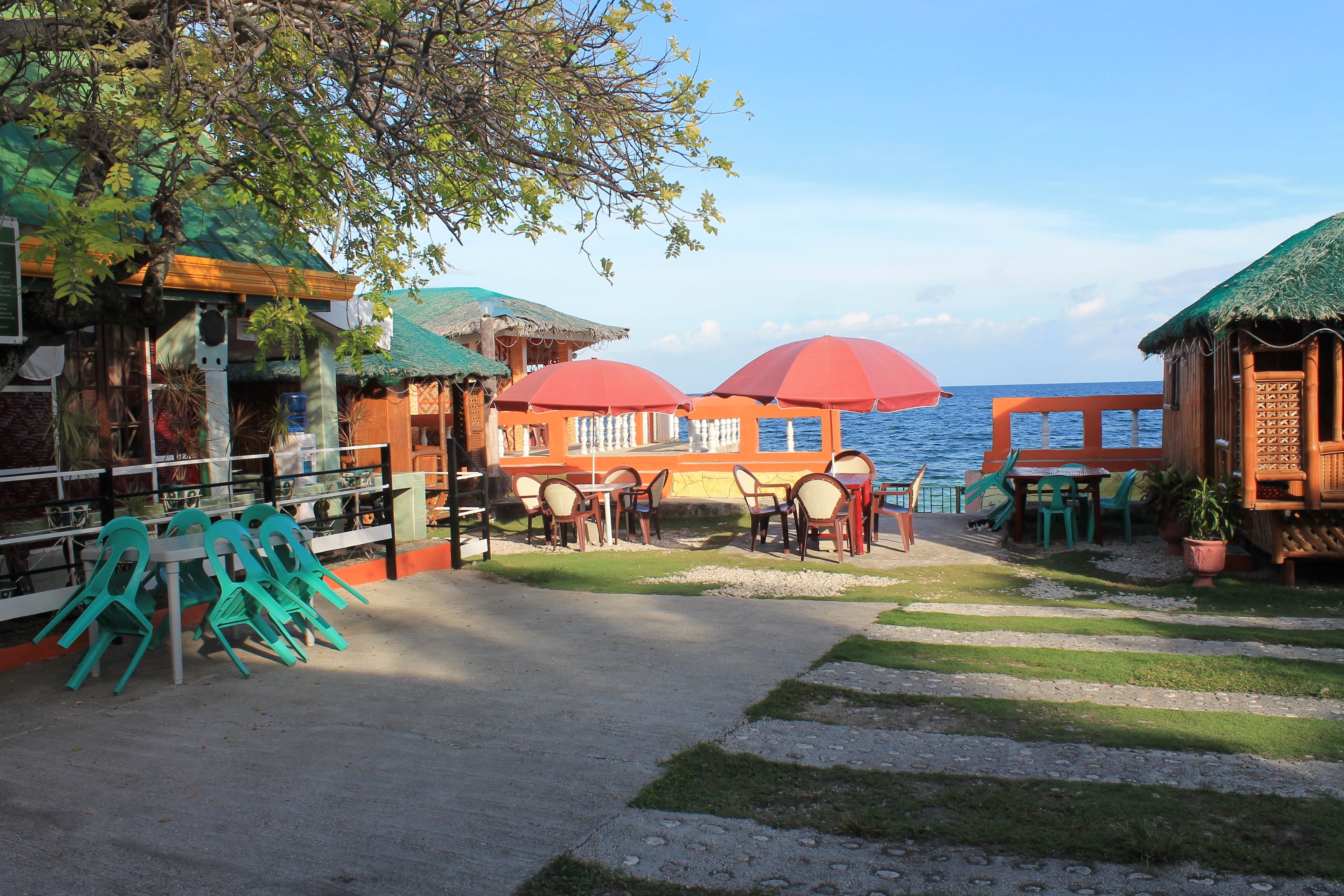 Un restaurant situé en bord de mer, avec une terrasse, une vue sur l’océan et une structure surmontée d’un toit de chaume.