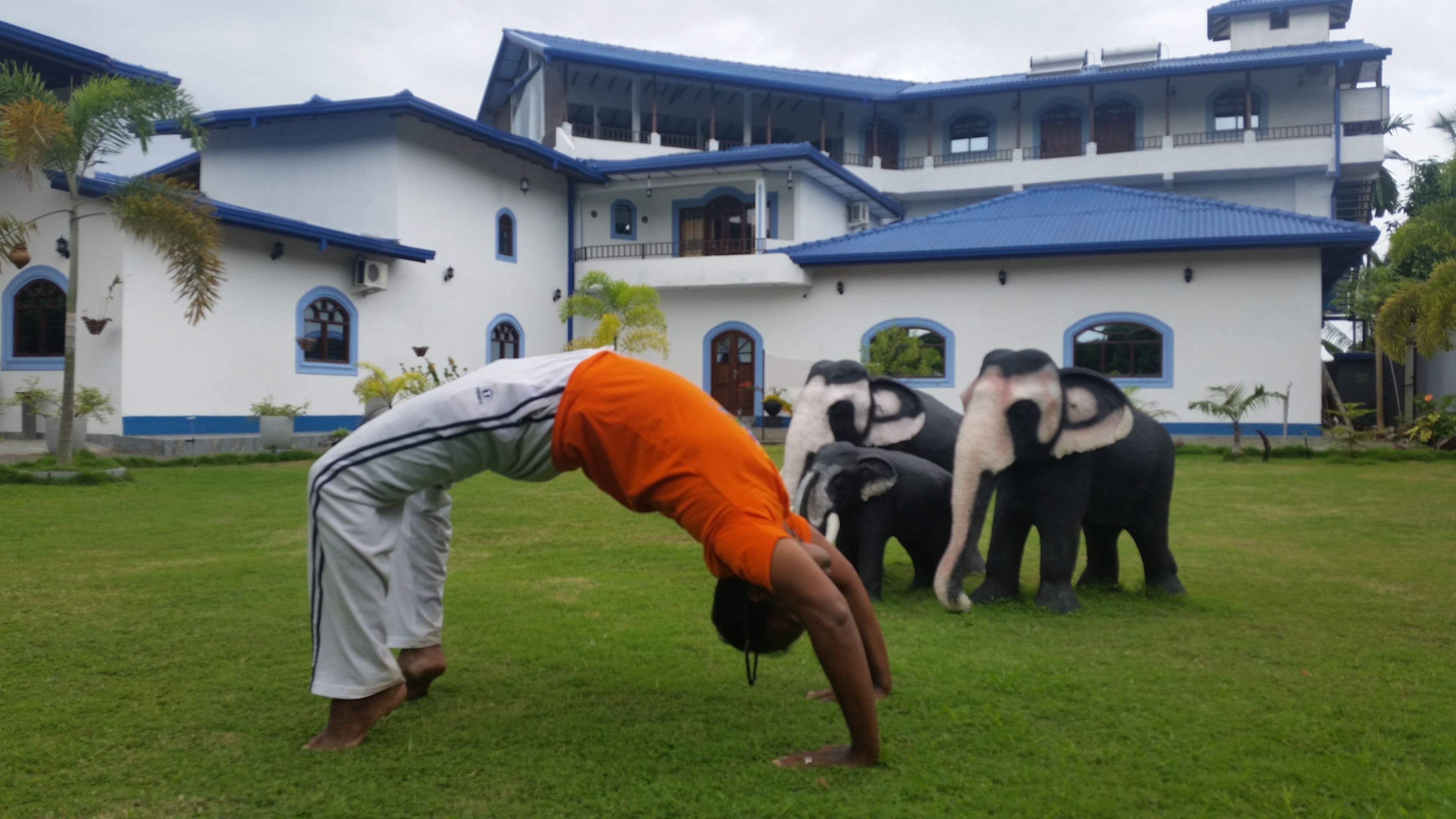 Yoga