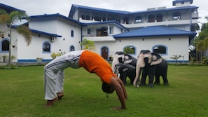 A person performing a yoga pose on grass in front of a building with blue and white exterior walls and multiple windows. - Dhammika Magic Palace (Wadduwa)