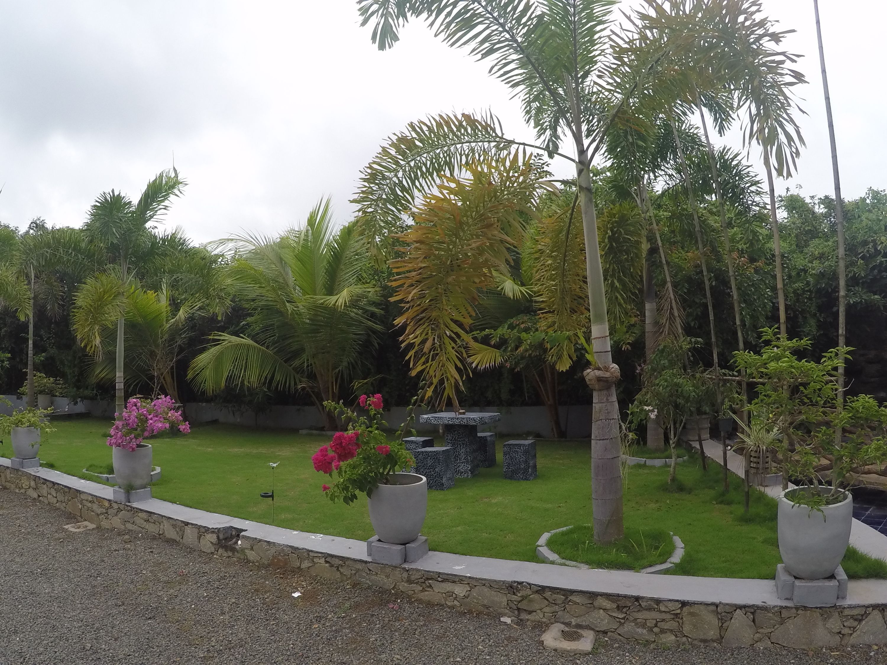 Un jardín ajardinado con diversas plantas tropicales y un pequeño elemento acuático.