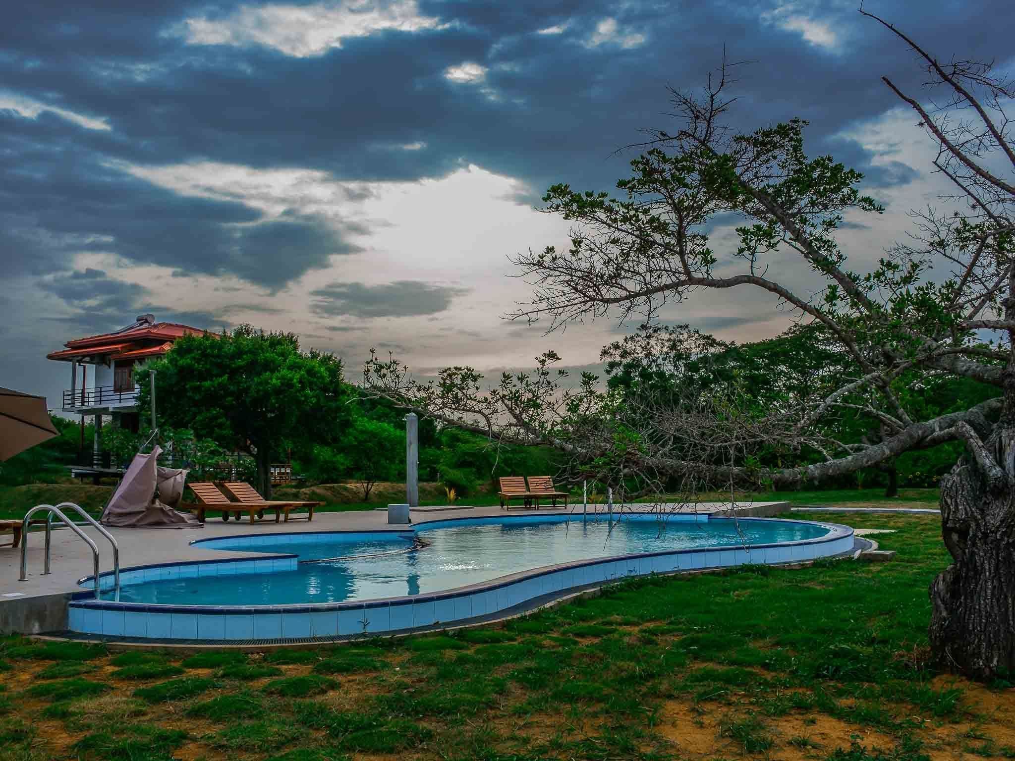 Outdoor pool, pool loungers