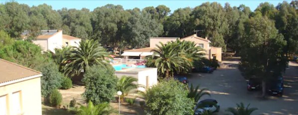 A residential area with houses, a swimming pool, and palm trees. - Résidence Thalassa (Calvi)