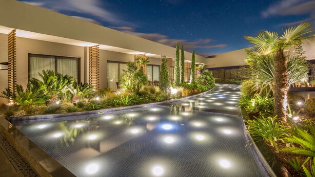 A swimming pool with a tiled edge, surrounded by lush greenery and palm trees, under a night sky with stars.