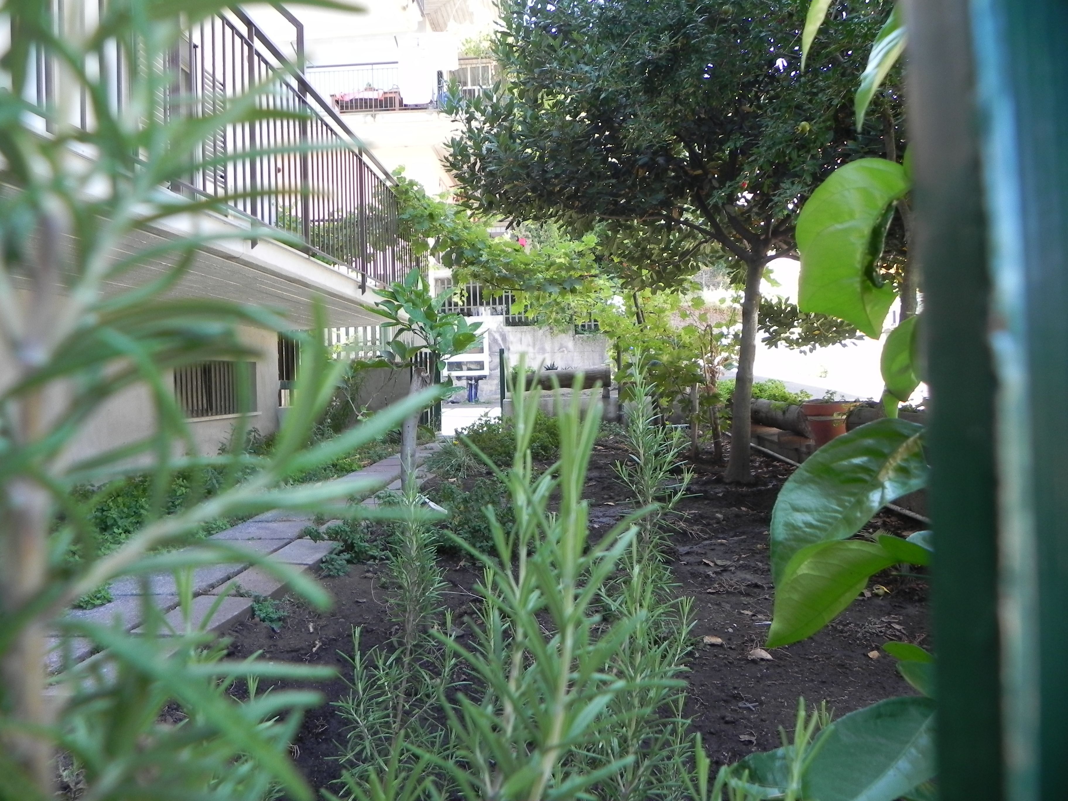 Ingresso interno
