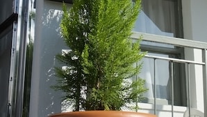 未分類圖片，第 4 張 (共 31 張)，按鈕