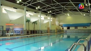 An indoor swimming pool with clear lanes, a high ceiling with a geometric design, and palm trees along the walls. - The Old Mill Holiday Hostel (Westport)