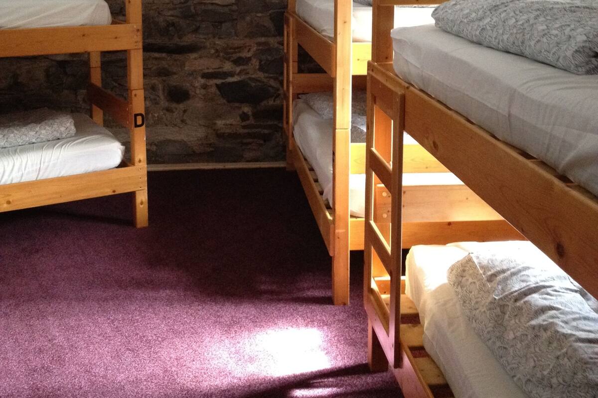 A dormitory room with bunk beds, stone walls, and a purple carpet.
