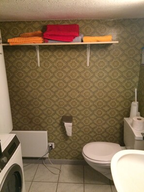 A bathroom with patterned wallpaper, a toilet, a washing machine, and a shelf with towels. - 325 Year Old Swiss Chalet (Boltigen)