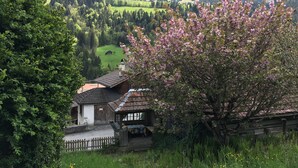 A traditional chalet with a sloped roof, a wooden fence, and a view of a green valley and forested hills in the background. - 200 Year Old Swiss House (Erlenbach im Simmental)