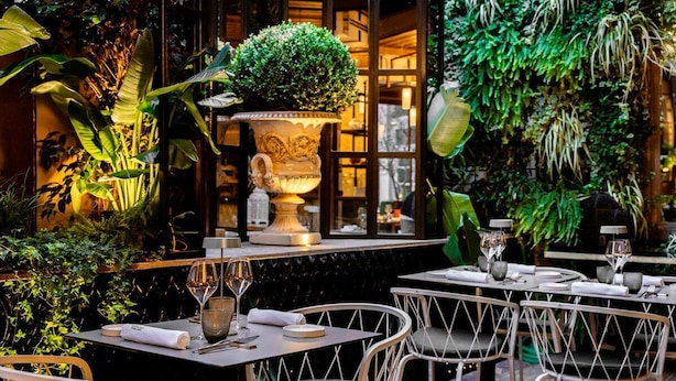 Un comedor interior con mesas dispuestas para dos, rodeado de abundante vegetación y una urna decorativa grande.