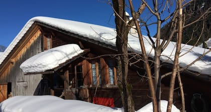 300 Year Old Chalet Interlaken