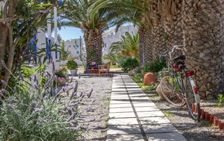 A pathway leading to a seating area with a table and chairs, surrounded by potted plants and a bicycle.