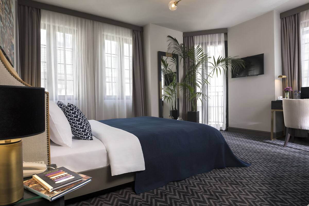 Una habitación de hotel moderna con una cama grande, un escritorio, un televisor y una planta en maceta.