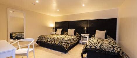 A bedroom with two beds, a desk, and a chair.