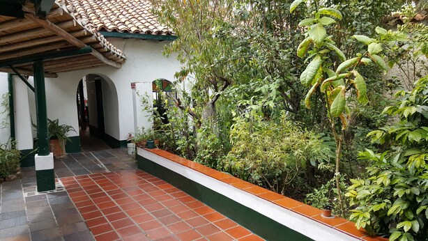A covered outdoor area with a tiled floor, a white wall with a green trim, and a variety of potted plants. - Hotel La Posada (Paipa)