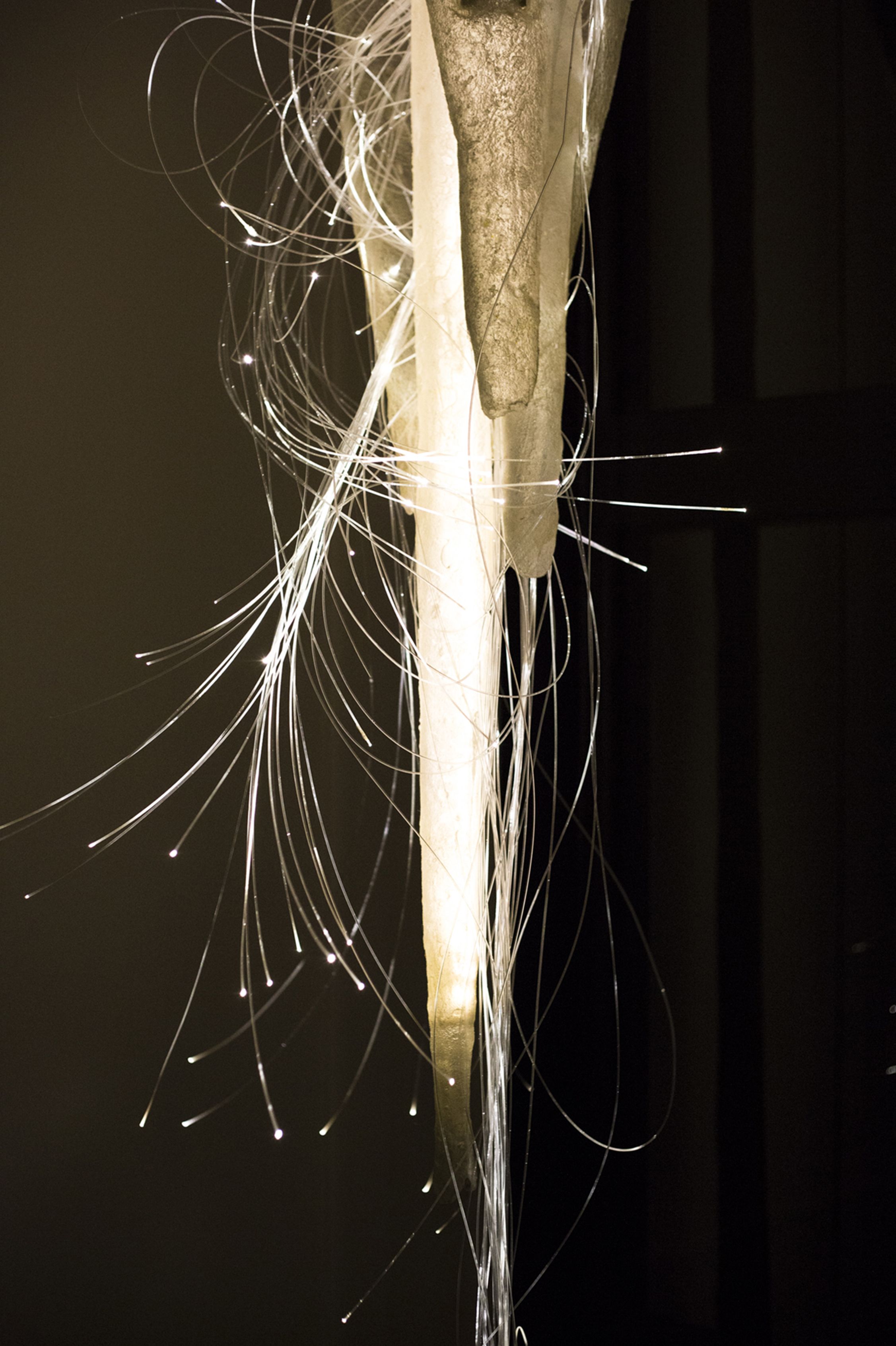 Foto - Louise sur Cour