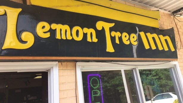 A sign for Lemon Tree Inn with a neon 'OPEN' sign in the window. - Lemon Inn (Spruce Pine)