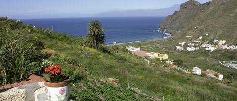 A coastal landscape with a view of the sea, a palm tree, and a small village with houses.