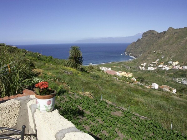 A coastal landscape with a view of the sea, a palm tree, and a small village with houses.