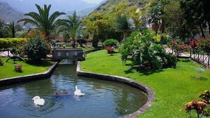 A serene garden with a pond, swans, and a bridge. - Casa Rural Sofia (Hermigua)