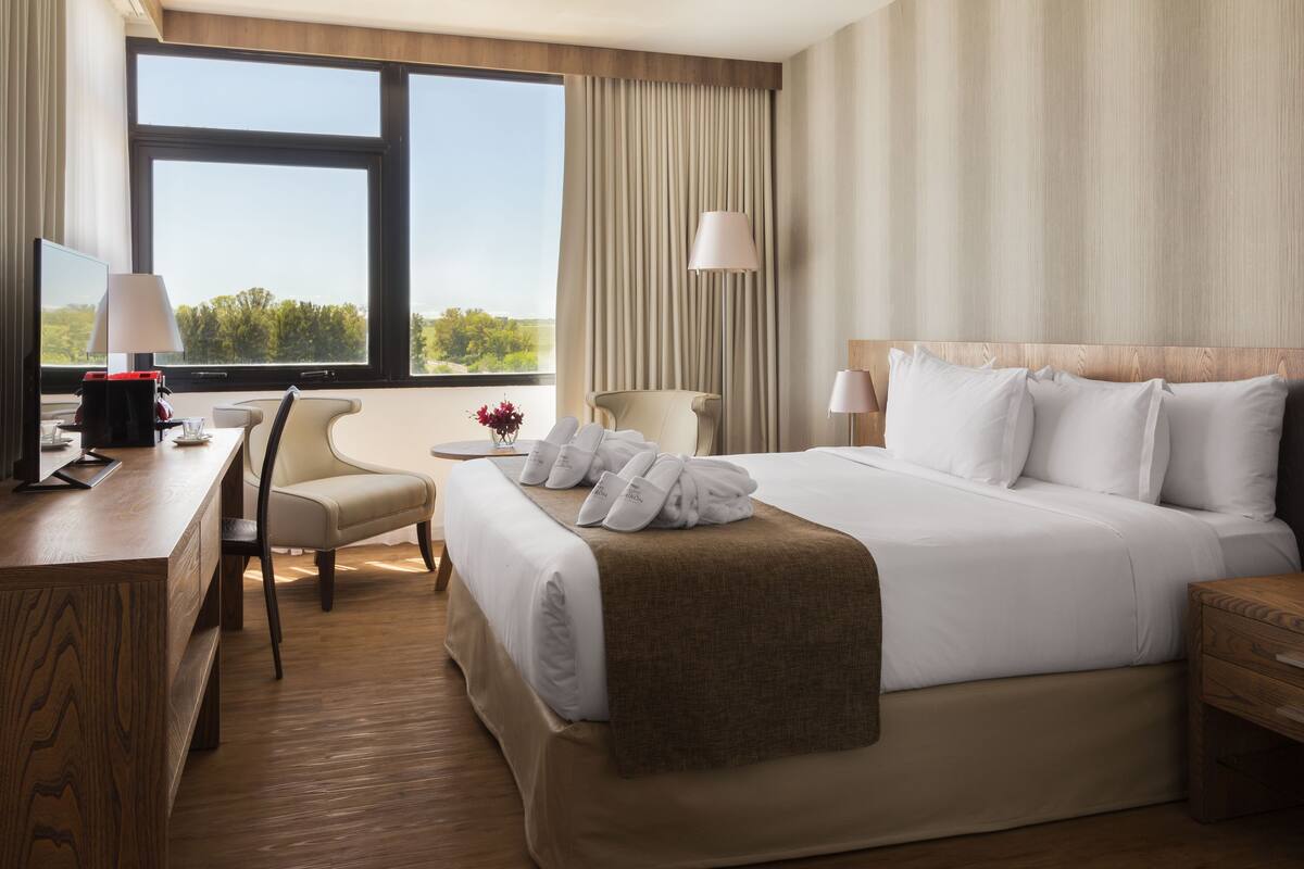 A hotel room with a large bed, a desk with a lamp, a chair, and a view of the outdoors.