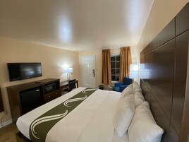 Standard Room, 1 King Bed, Non Smoking | Desk, blackout drapes, iron/ironing board, cribs/infant beds
