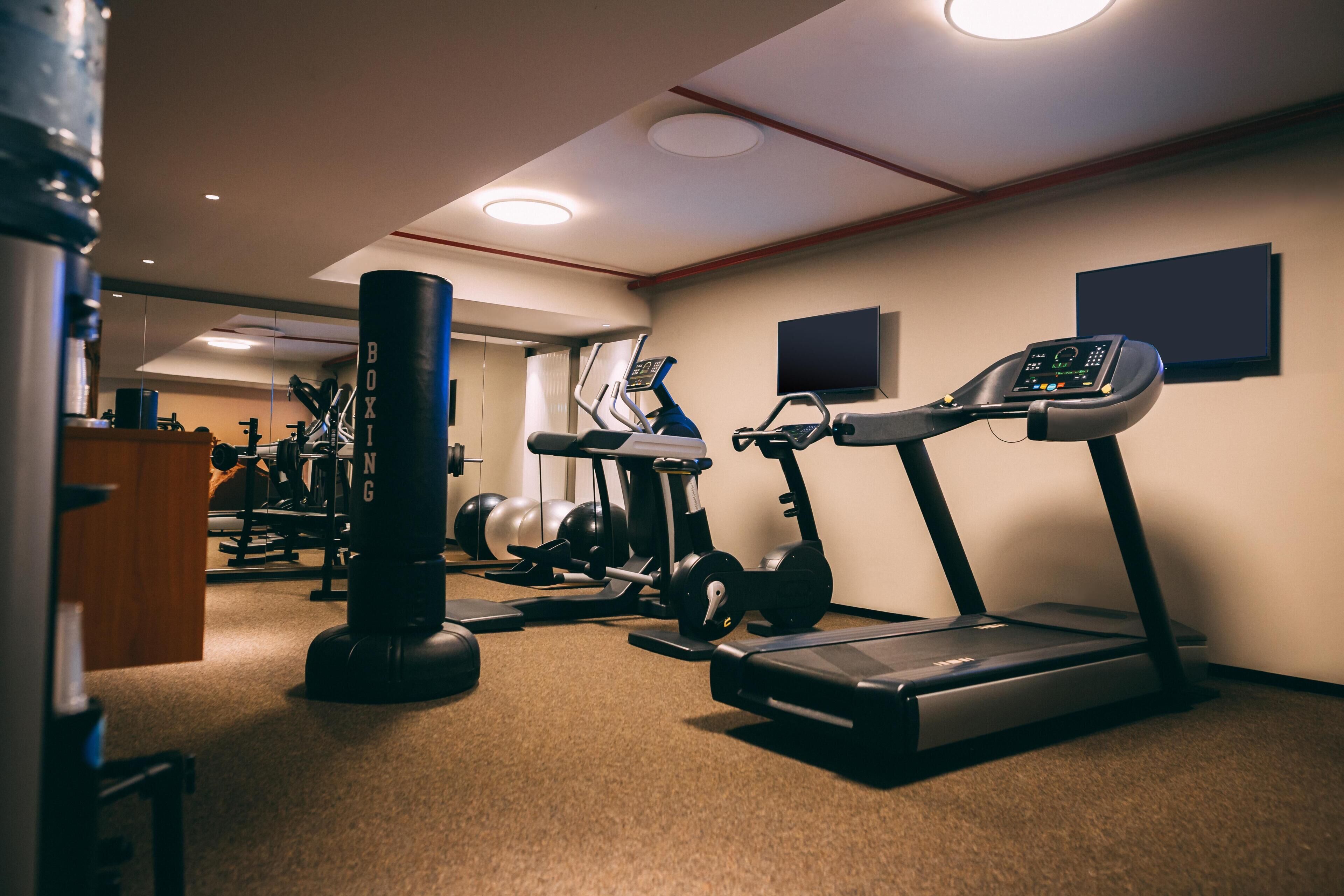 Une salle de sport équipée de tapis de course, d’un sac de frappe et de ballons d’exercice.
