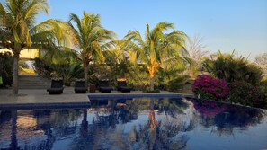 Outdoor pool, an infinity pool - Soma Surf Resort (Tola)