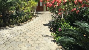 A paved pathway leading to a building with a door, surrounded by various plants and shrubs. - Soma Surf Resort (Tola)