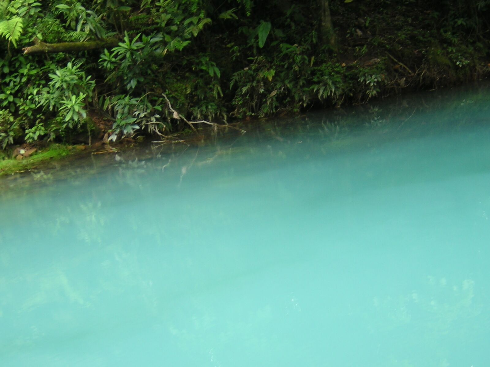 Une rivière aux eaux claires, bordée d’une végétation luxuriante.