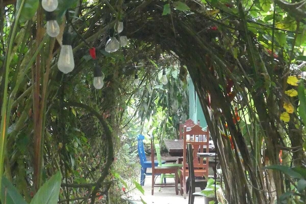 Standardrum - 1 sovrum - tillgänglighetsanpassat - utsikt mot trädgården | Delat matlagningsutrymme | Mikro i allmänt utrymme