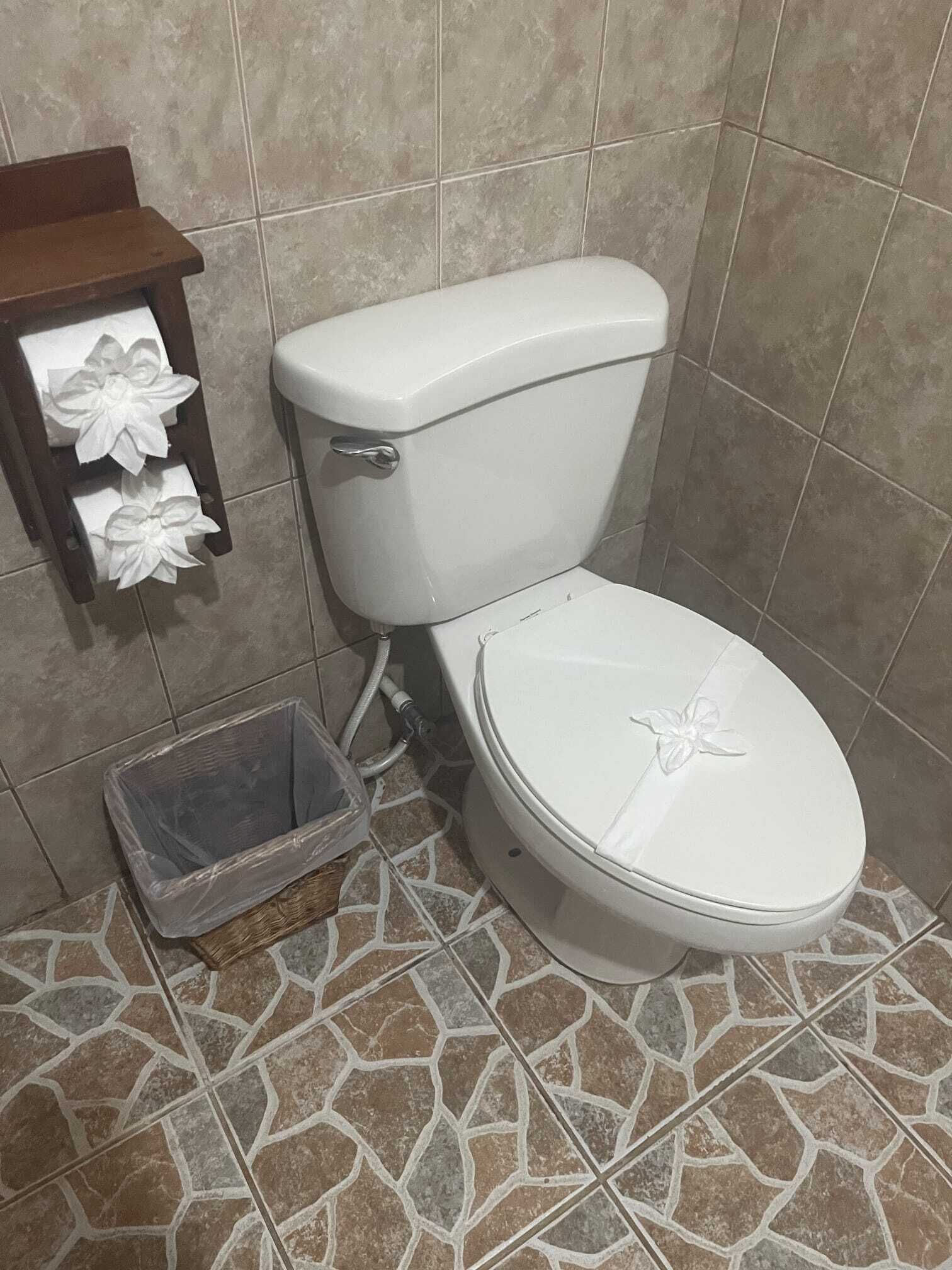 shower, towels, soap