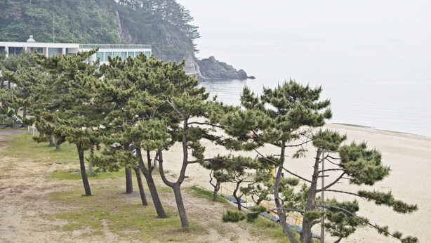 Eine Küstenlandschaft mit Sandstrand, Kiefern und einem Gebäude mit weißer Fassade.