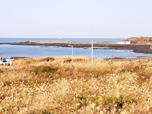 A coastal landscape with dry grass, a body of water, and a white building with a sign. - Morning Beach Pension (Jeju City)