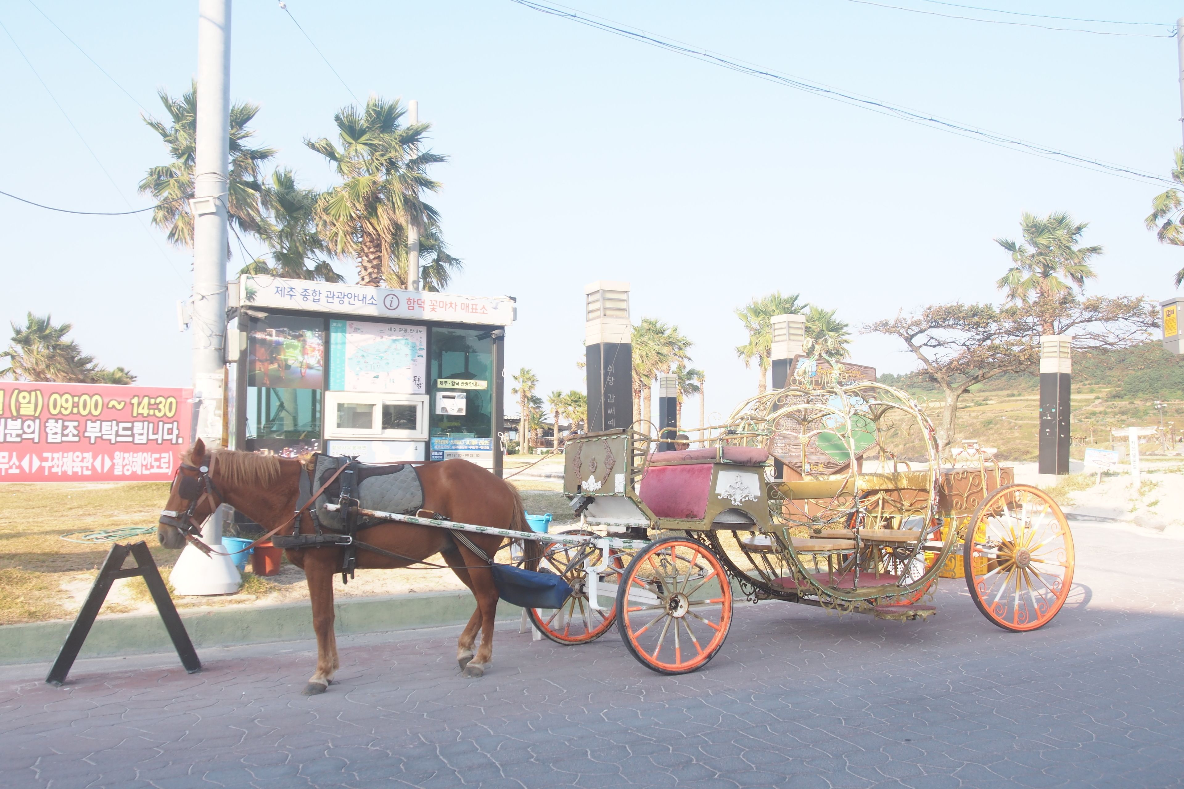 Foto - Morning Beach Pension