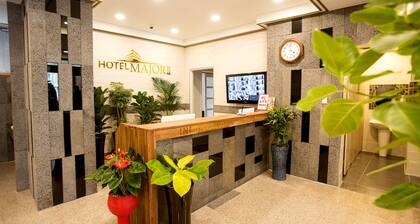 Hotel Major 2