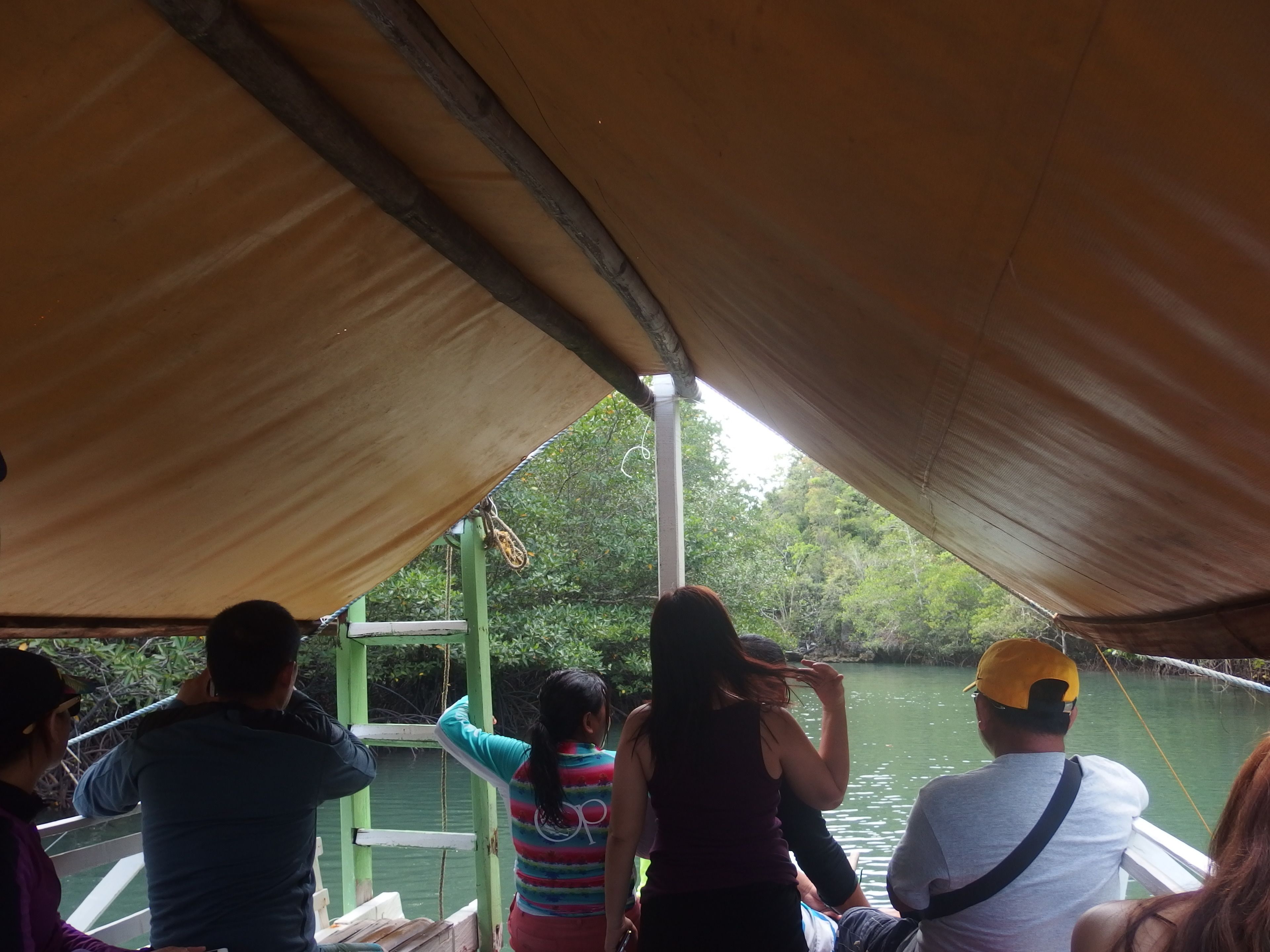A group of people on a boat with a canopy overhead, looking at a body of water.