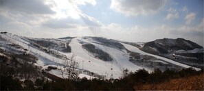 Gratis wi-fi och sängkläder