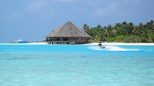 A beachside overwater bungalow with a thatched roof, a pier, and palm trees in the background. - Bibee Maldives (Dhiffushi)