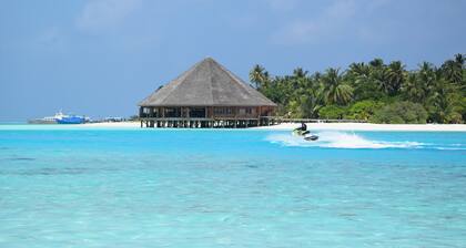 Bibee Maldives