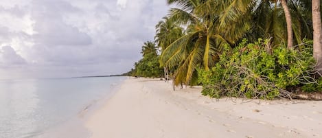 A beach with white sand, palm trees, and a calm sea under a partly cloudy sky.